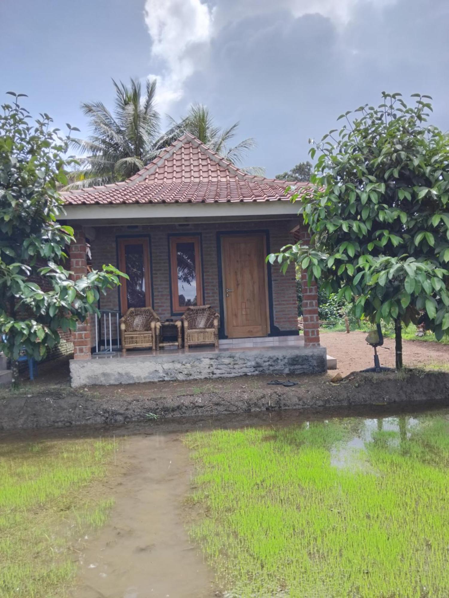Tereng Wilis Bungalows 테테바투 외부 사진