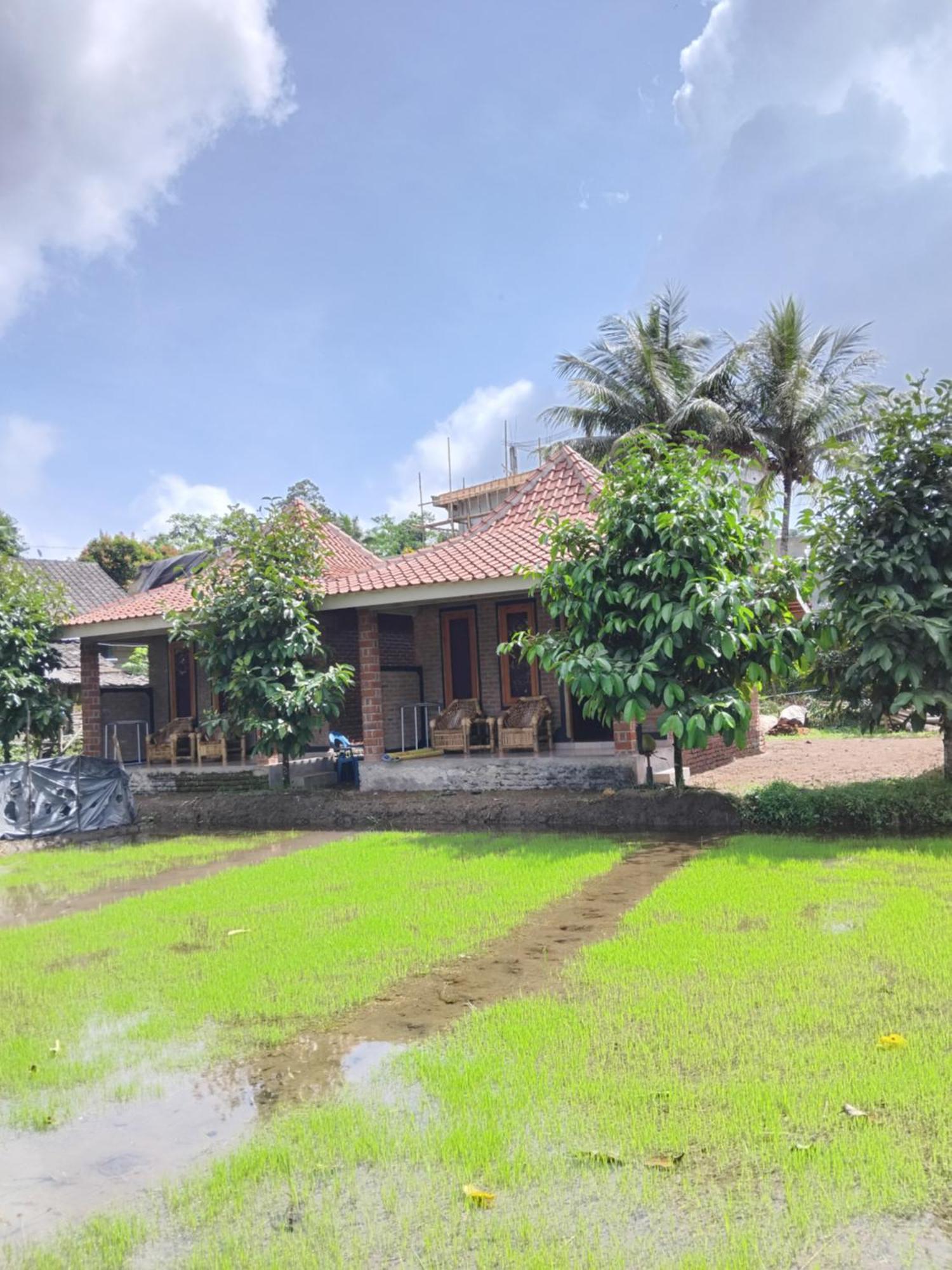 Tereng Wilis Bungalows 테테바투 외부 사진