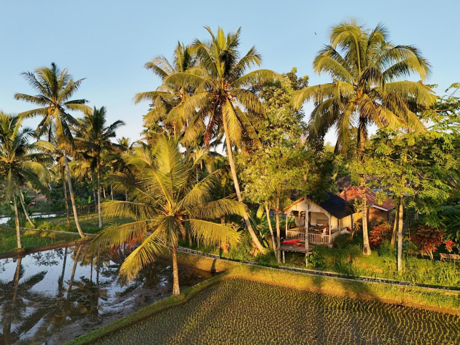Tereng Wilis Bungalows 테테바투 외부 사진
