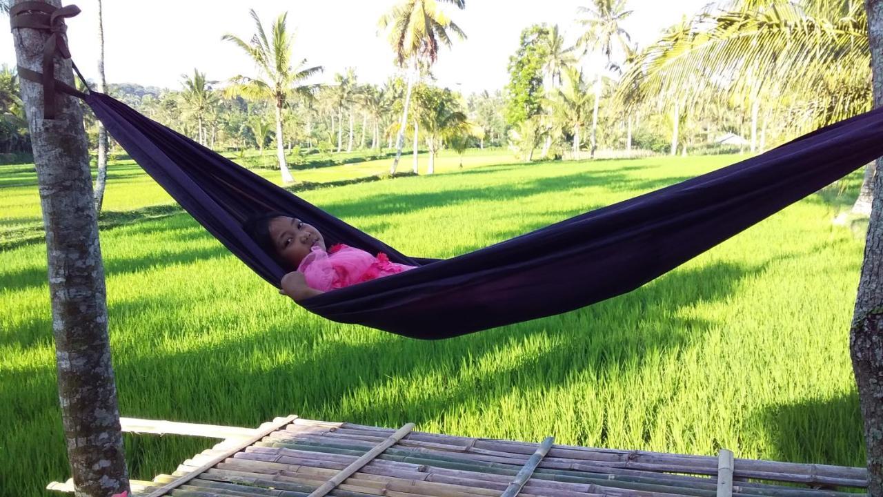 Tereng Wilis Bungalows 테테바투 외부 사진