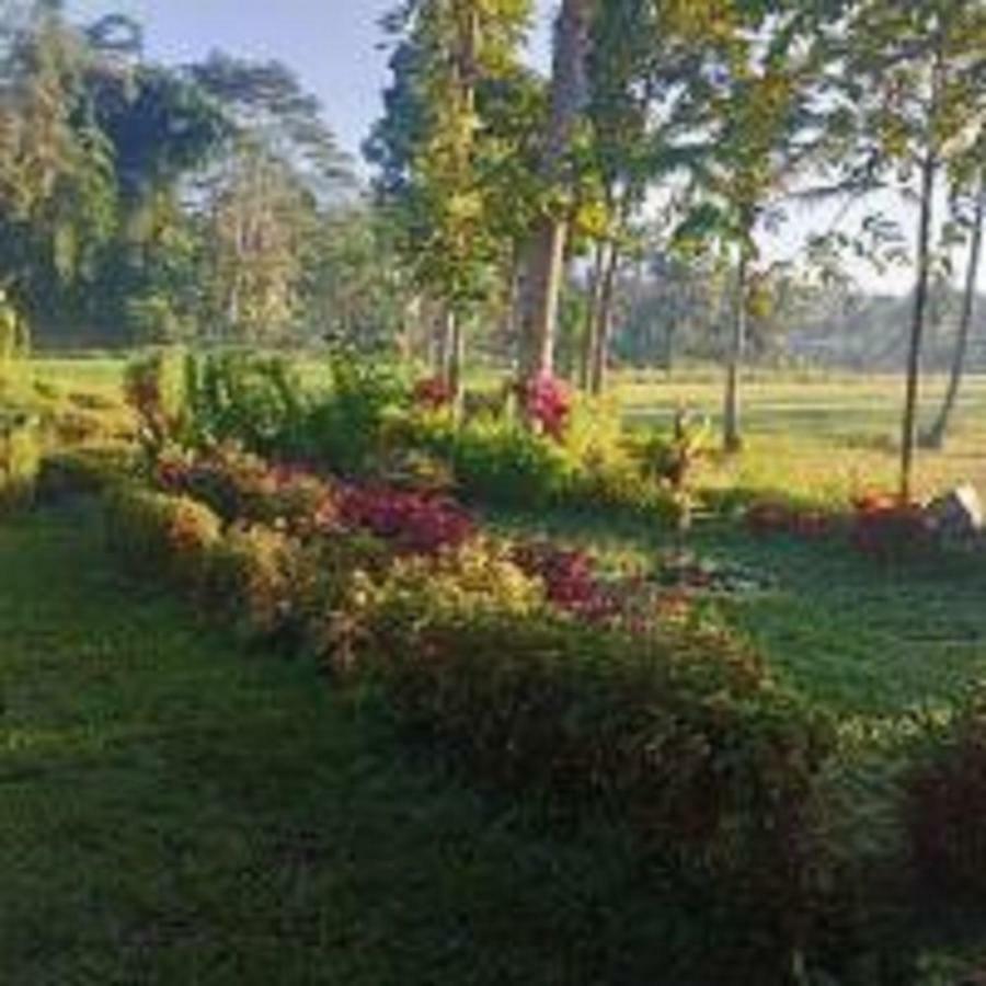 Tereng Wilis Bungalows 테테바투 외부 사진