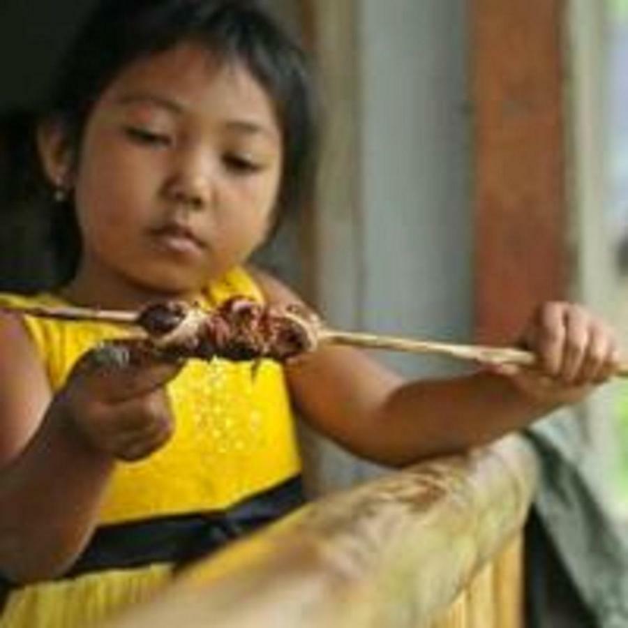 Tereng Wilis Bungalows 테테바투 외부 사진